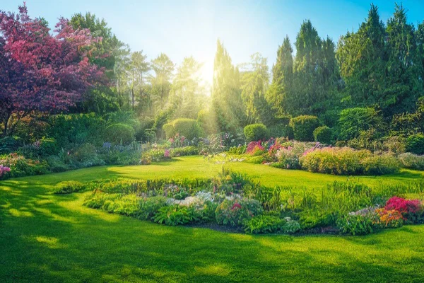 Common Mistakes To Avoid In Landscape Installation Projects Madison, TN