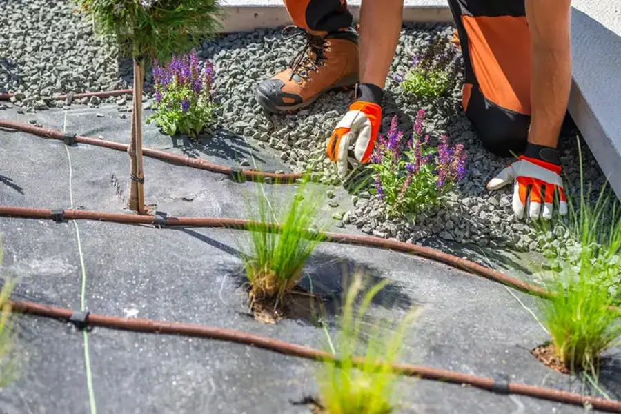 Premium Landscape Installation Madison, TN