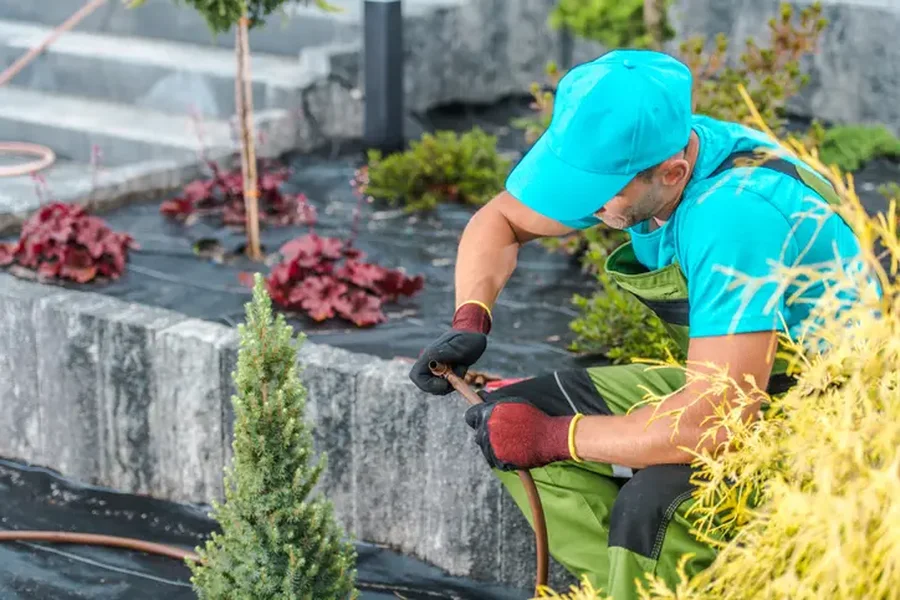 Quality Landscape Installation Madison, TN